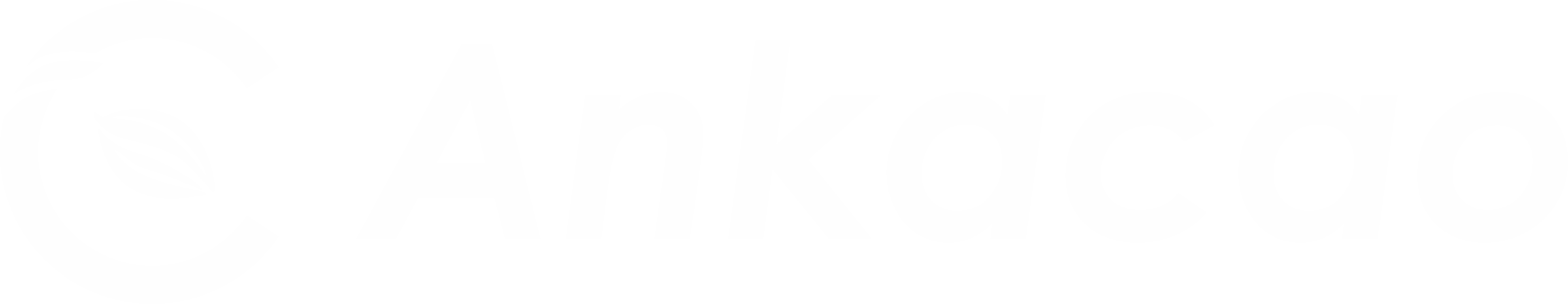 Ankacao